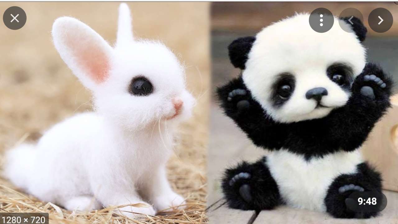 Baby zvířata, která vás řeknou roztomilý. online puzzle