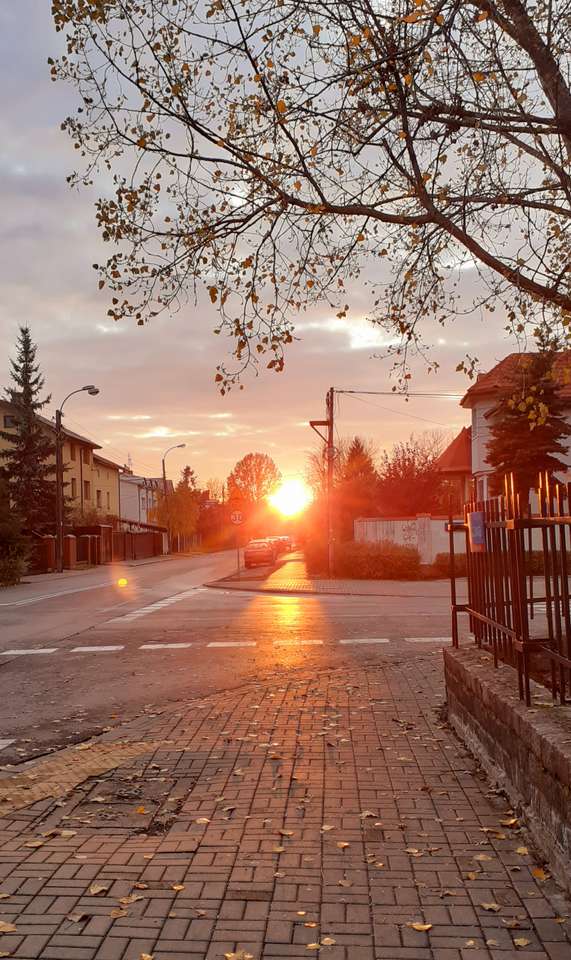 Ηλιοβασίλεμα στο δρόμο το φθινόπωρο online παζλ