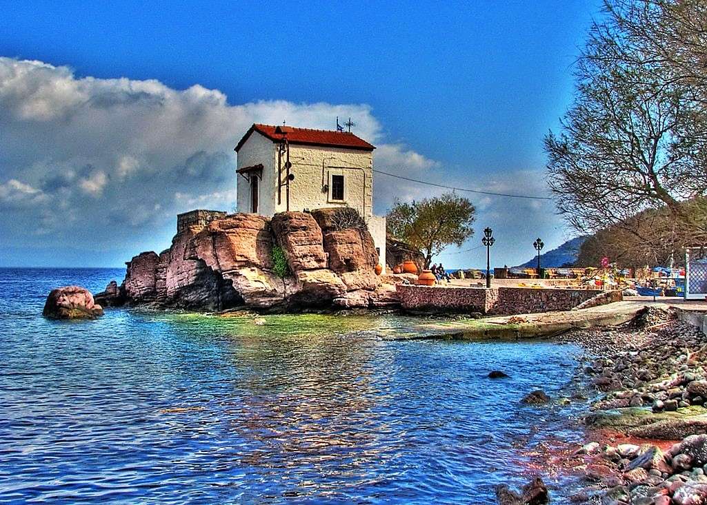 Сікамінія на грецькому острові Лесбос пазл онлайн