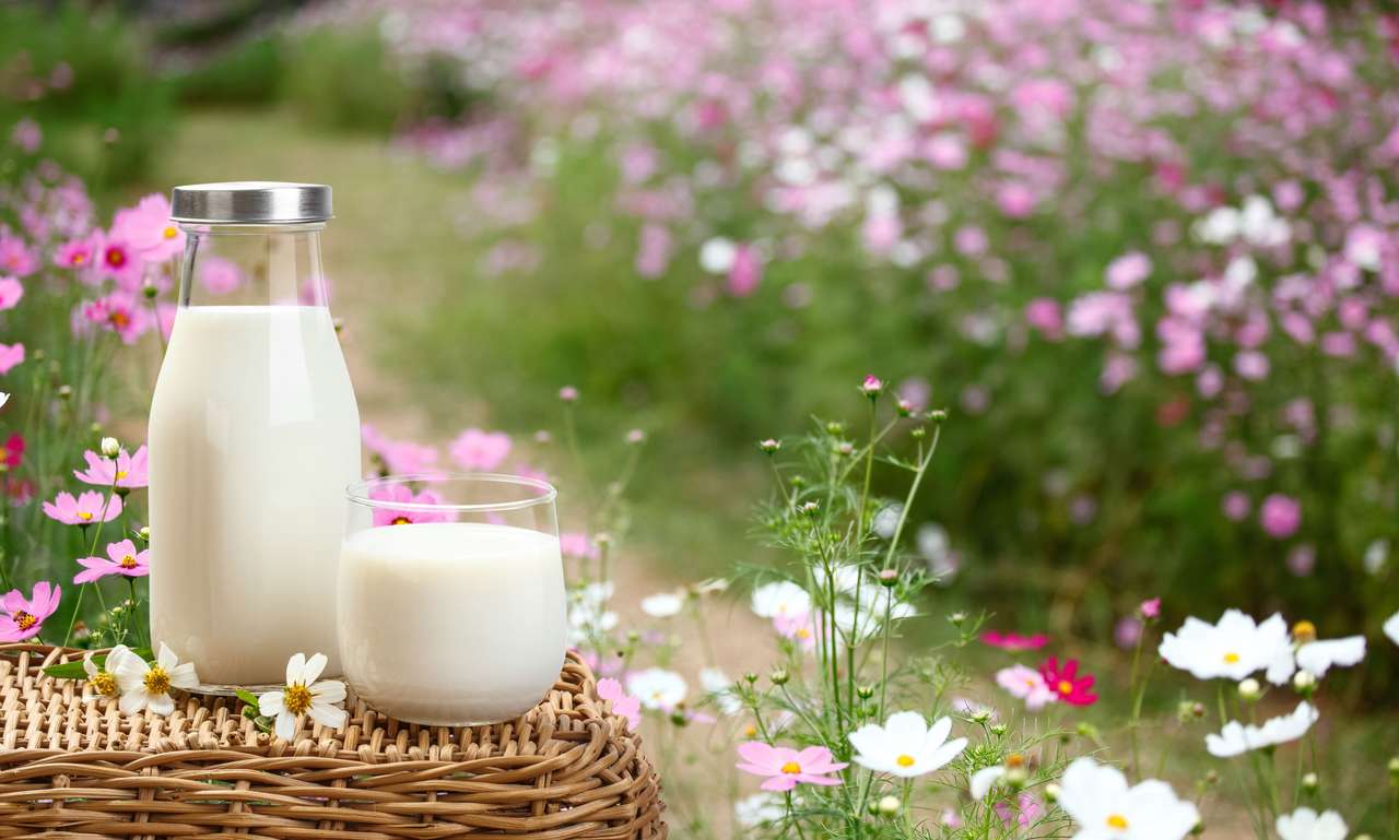 Eine Flasche rustikaler Milch Online-Puzzle