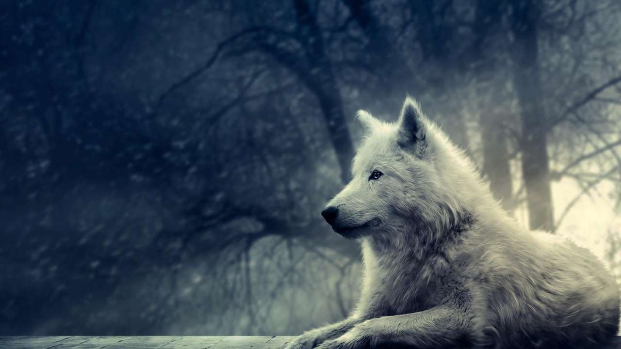 Modrý vlk skládačky online