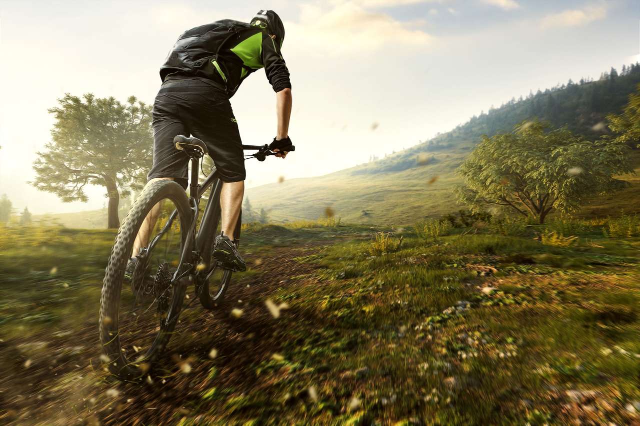 Mountainbike in the Mountains jigsaw puzzle online