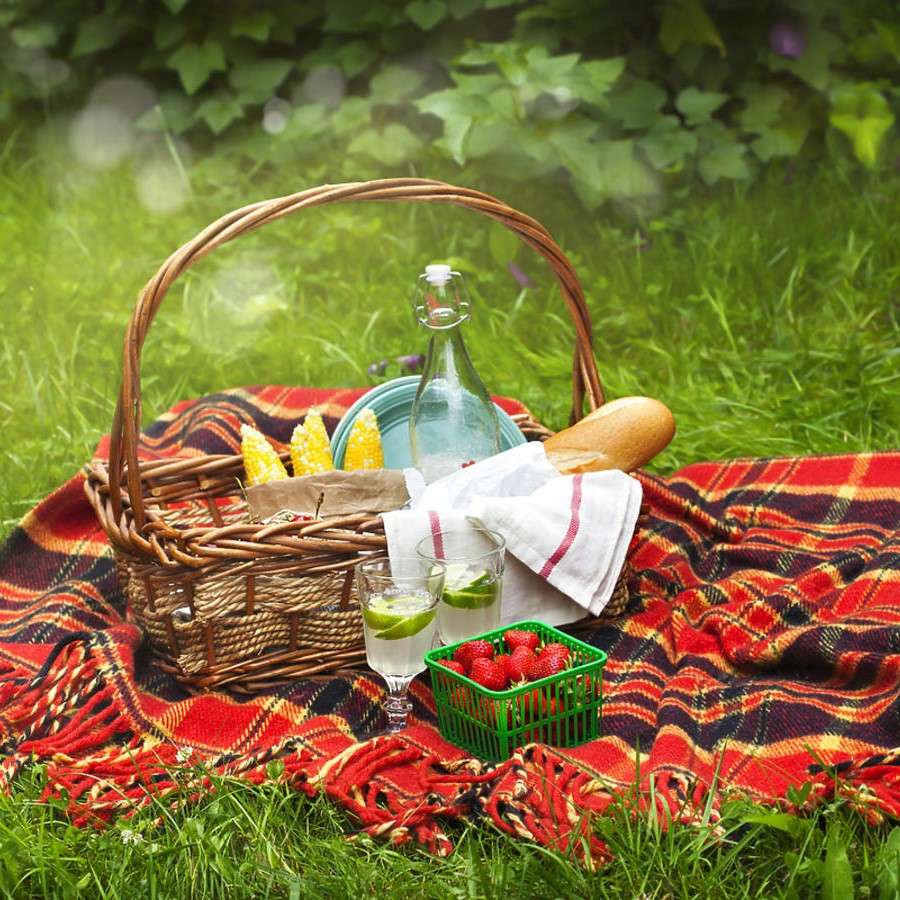 Picknick im Freien. Puzzlespiel online
