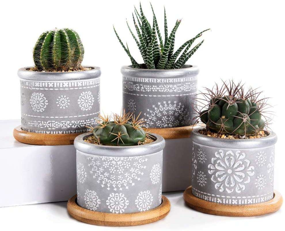 Cactuses in pots online puzzle