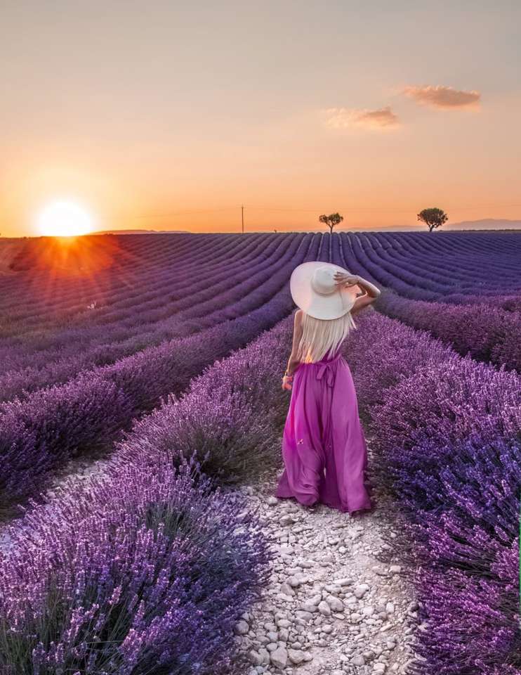 Bloeiende lavendelvelden in Frankrijk online puzzel