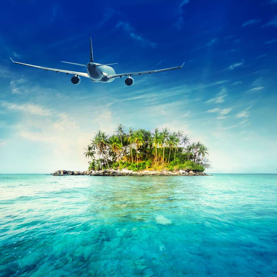 Avião sobre incrível paisagem do oceano puzzle online
