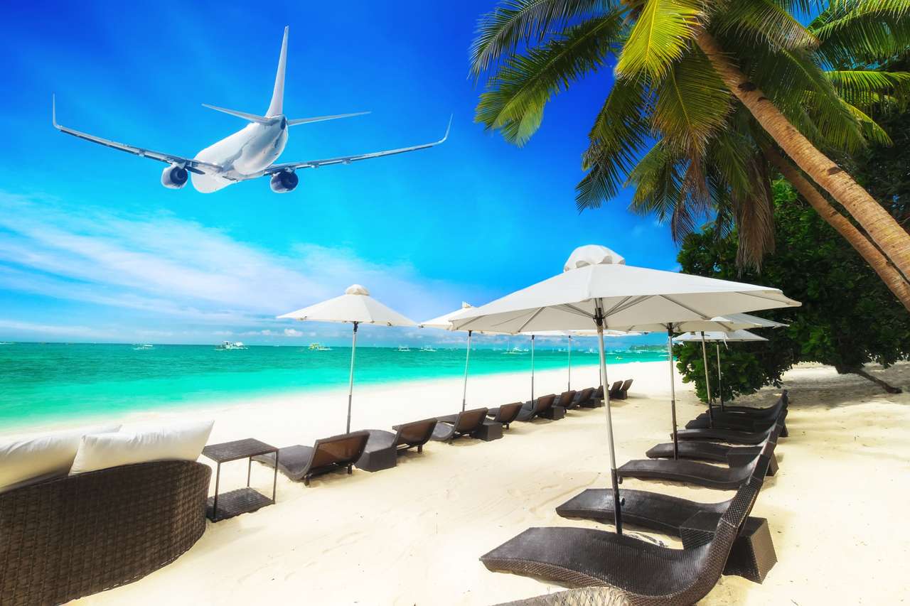 Vliegtuig over tropisch strand legpuzzel online