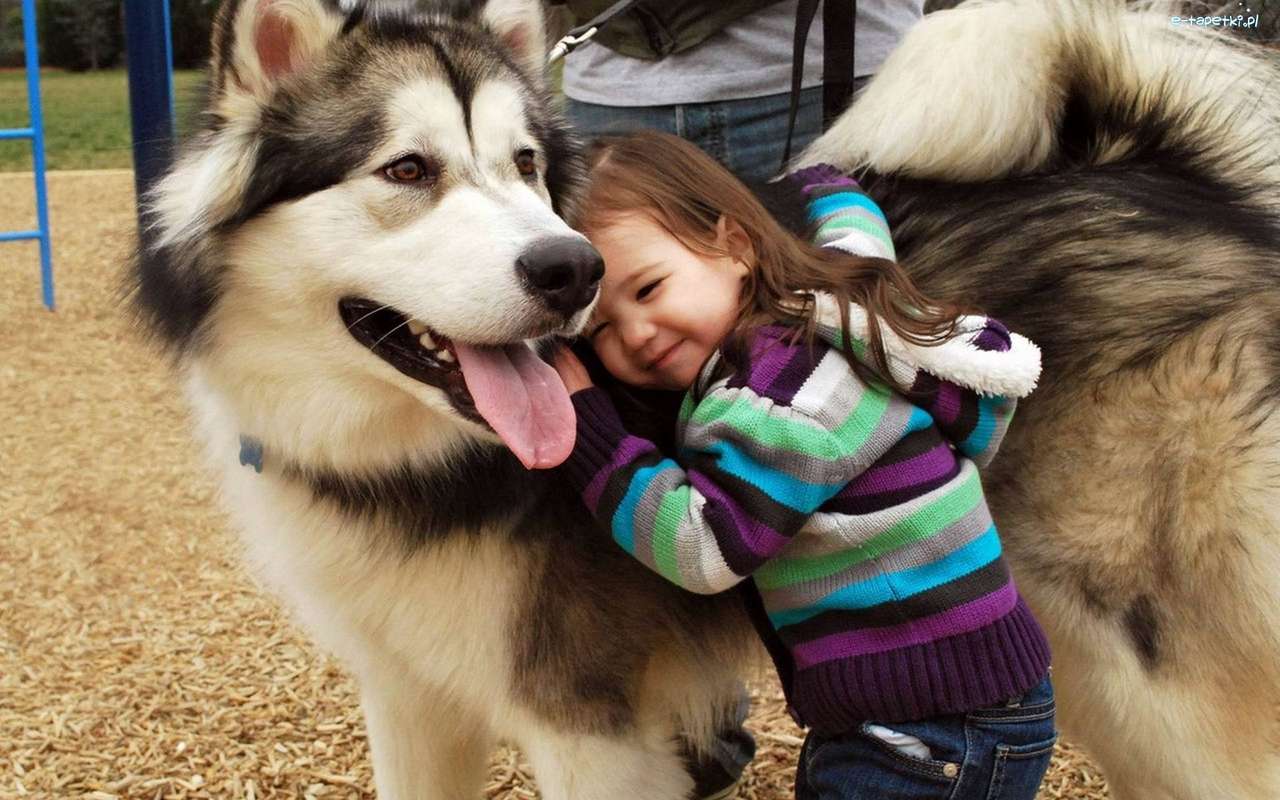 Husky with a child online puzzle