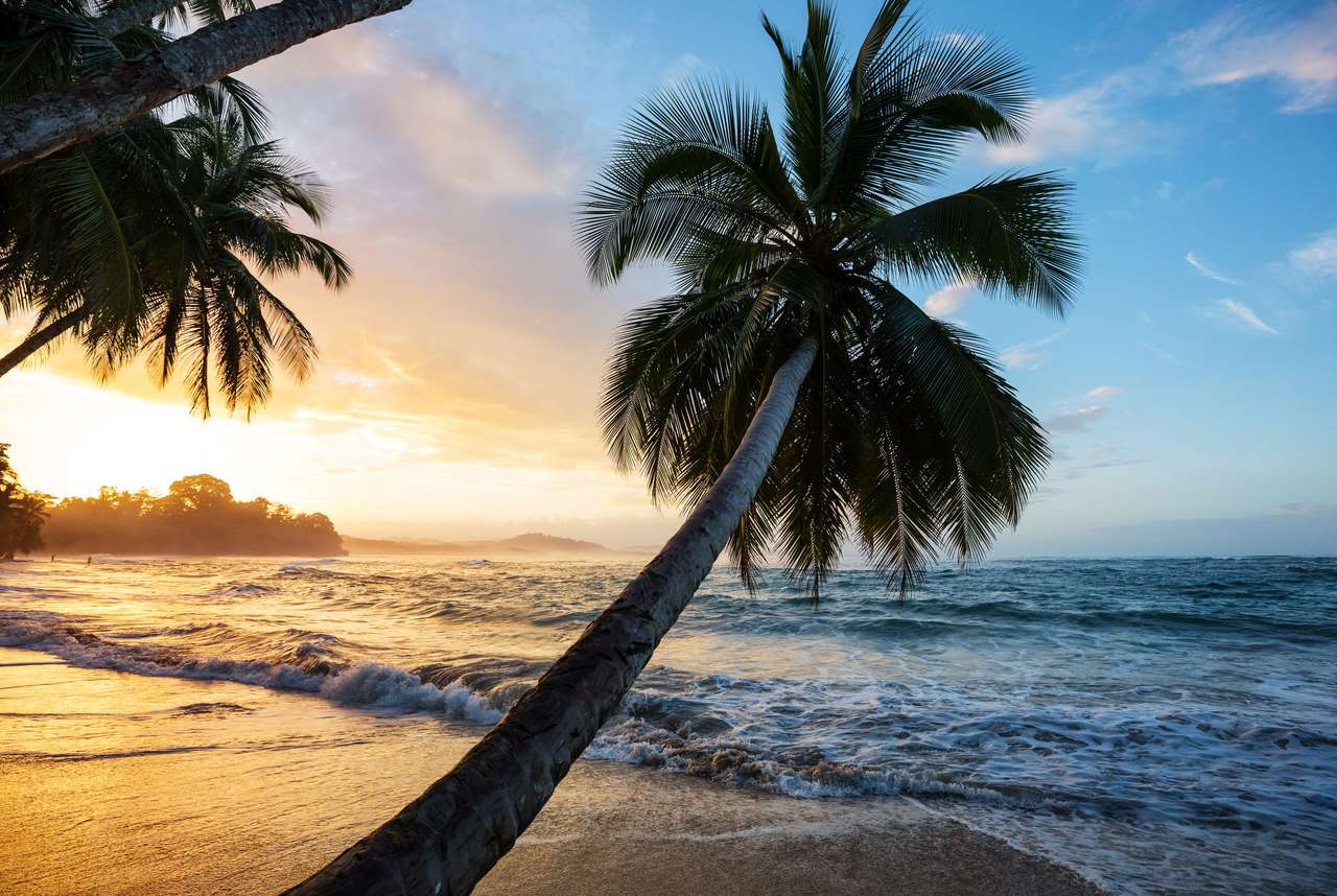 Côte océanique pacifique tropicale au Costa Rica puzzle en ligne