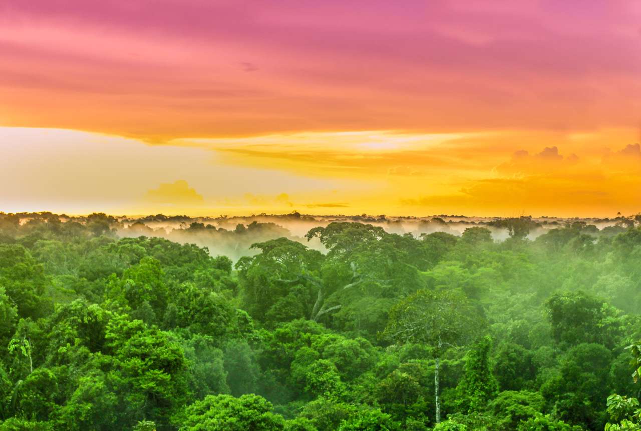 ブラジルの熱帯雨林の木々に沈む紫色の夕日 オンラインパズル