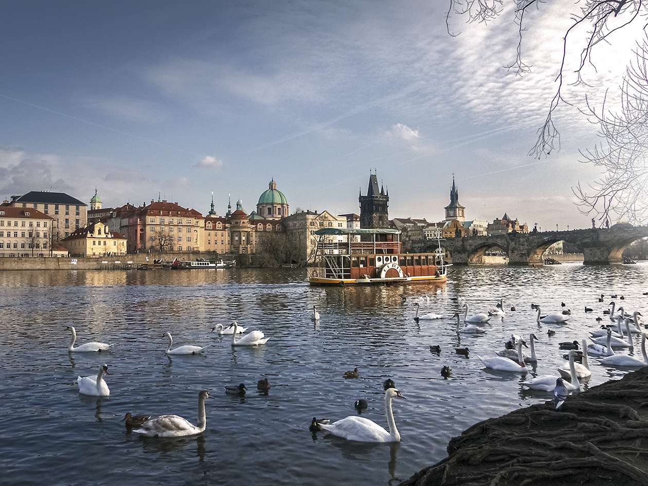Река Vltava в Прага онлайн пъзел