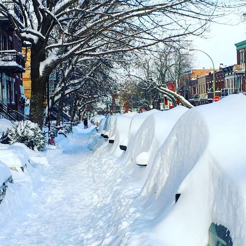 sníh v Montreal. skládačky online