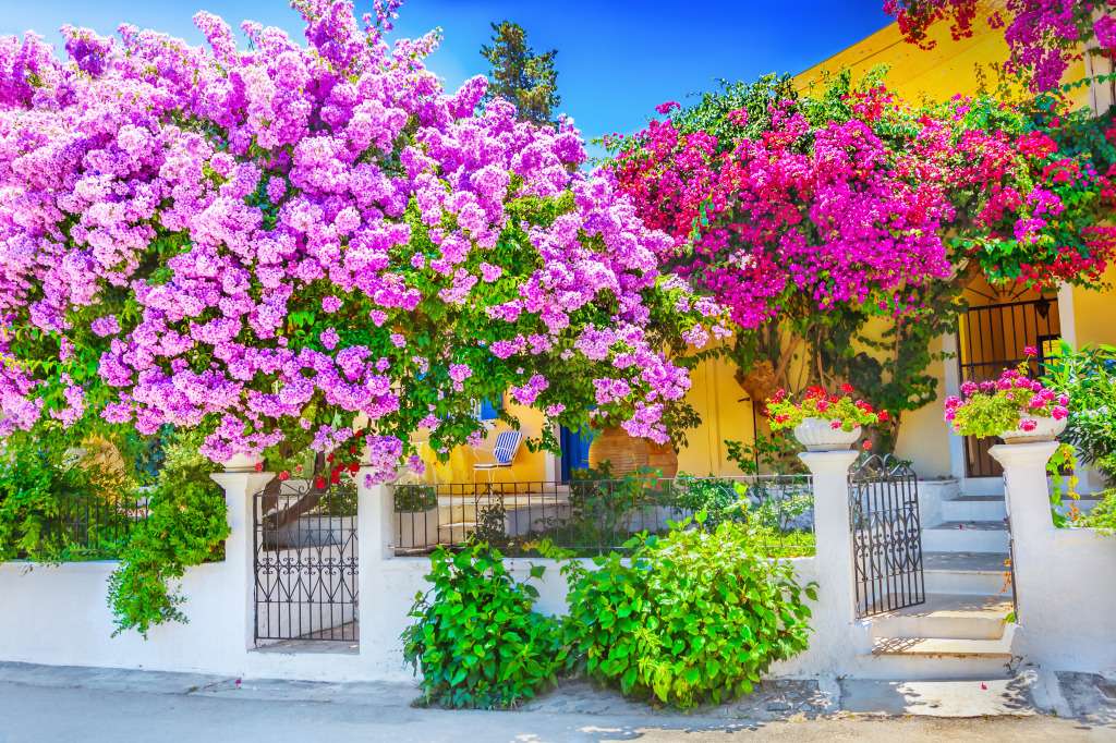 A house in Greece with bougainvilles jigsaw puzzle online