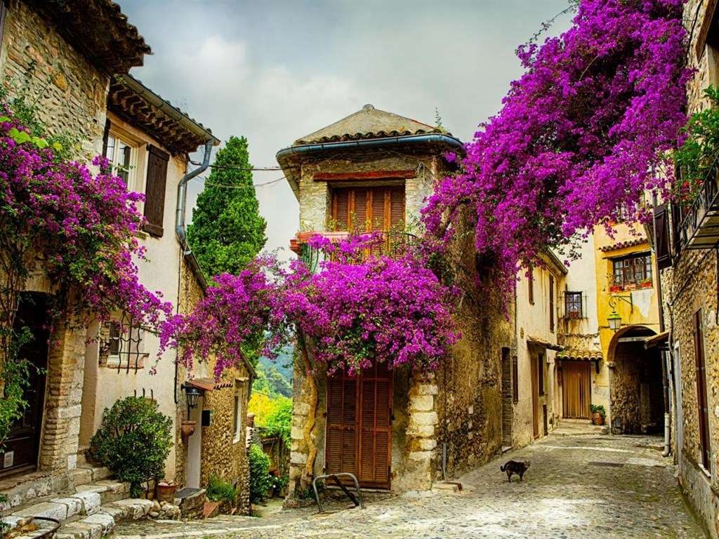 Provence- Frankreich Puzzlespiel online