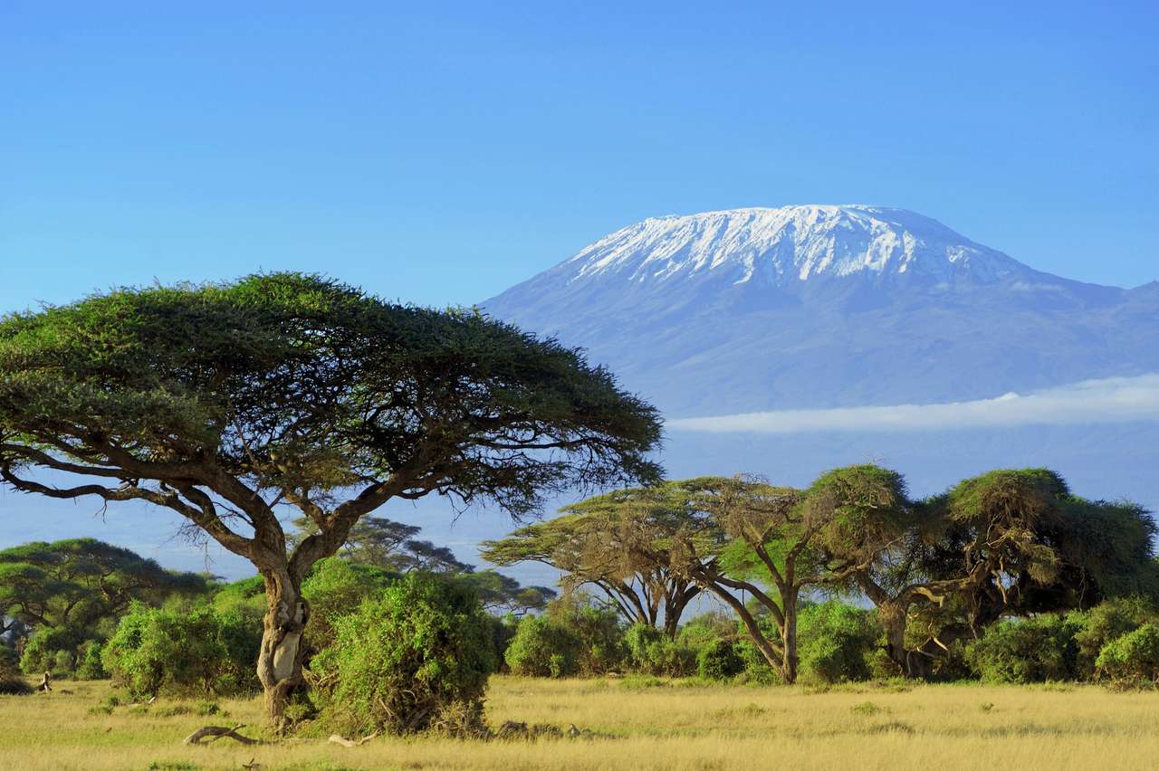 Snow en la parte superior del Monte Kilimanjaro en Amboseli rompecabezas en línea