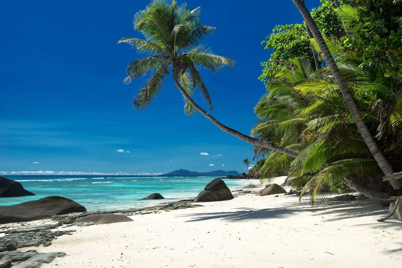 Belle plage tropicale ensoleillée - Seychelle puzzle en ligne