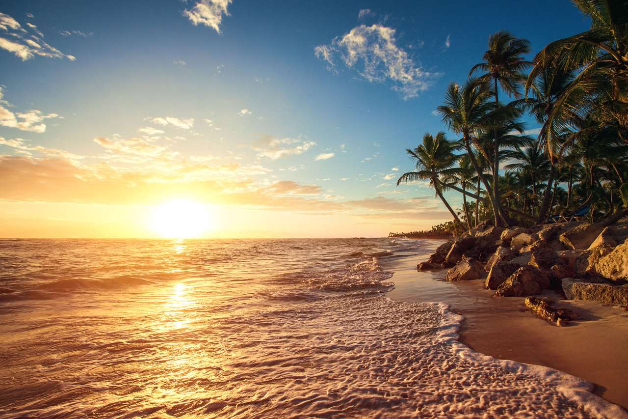 Palmen am tropischen Strand, Sonnenaufgang erschossen Online-Puzzle