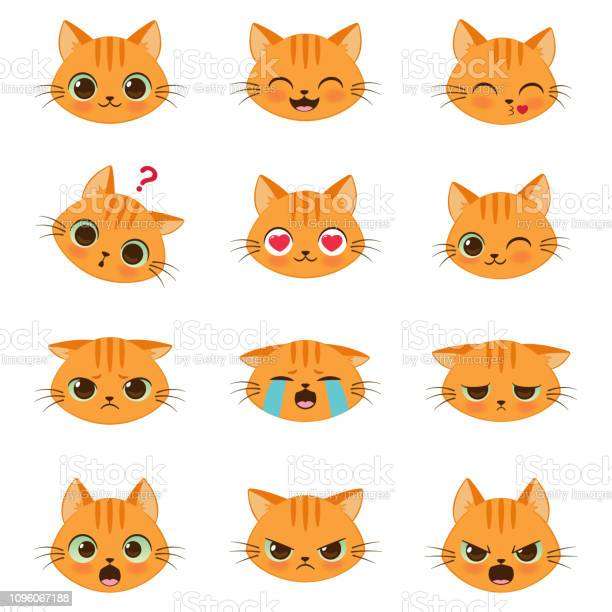 Många och vackra katter av katter Pussel online