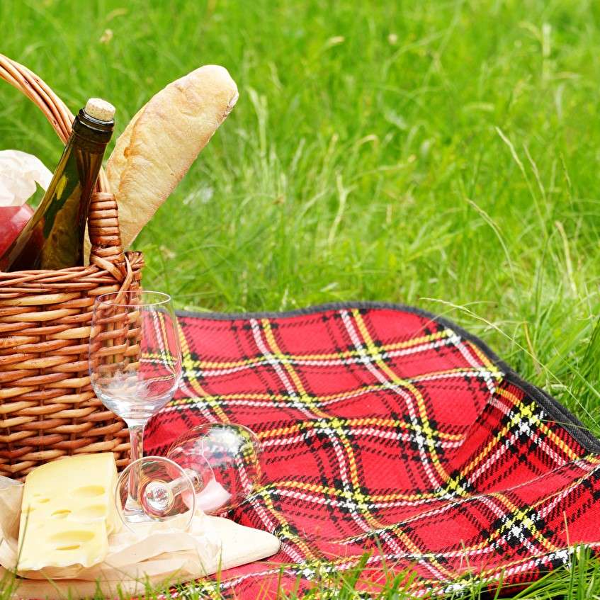 пикник на траве онлайн-пазл
