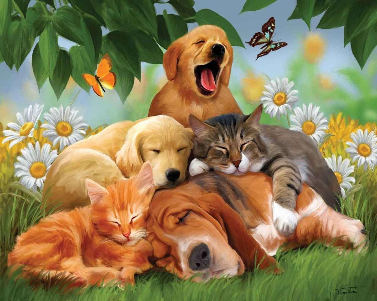 Animali addormentati puzzle online