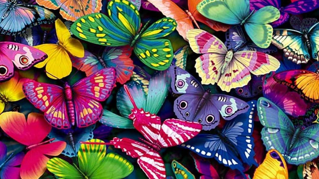 Färgglada fjärilar Pussel online