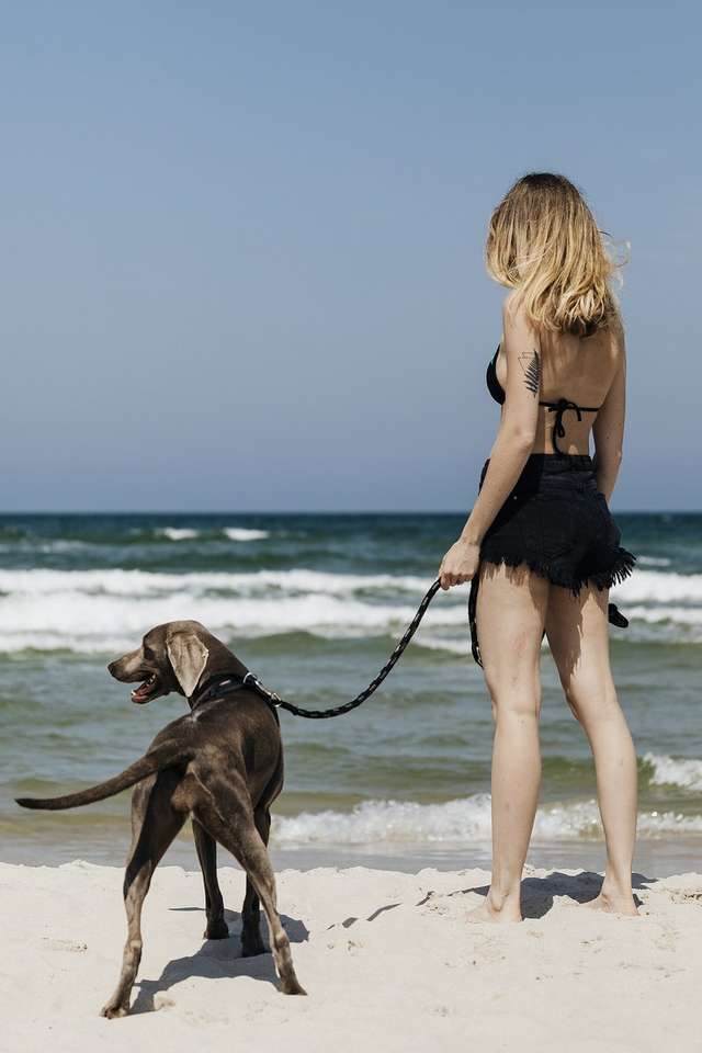 A gyermek és a kutyája a strandon online puzzle