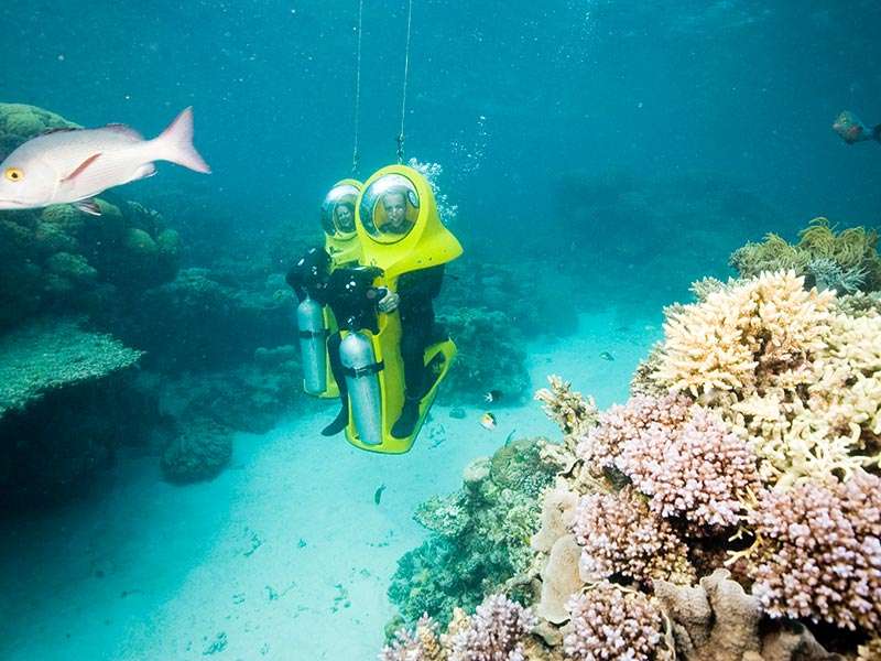 Scuba doo - o excursie la reciful coral jigsaw puzzle online