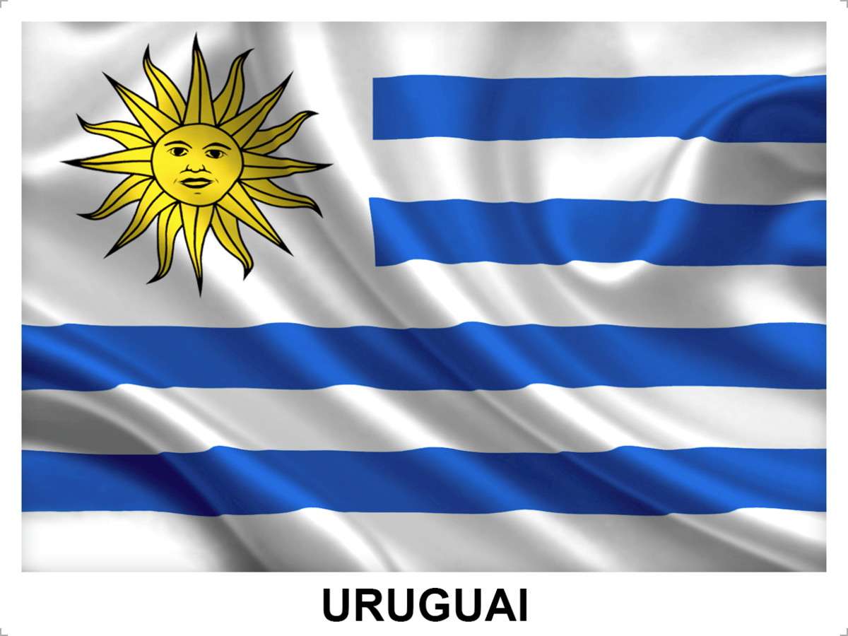 Bandera uruguaya rompecabezas en línea
