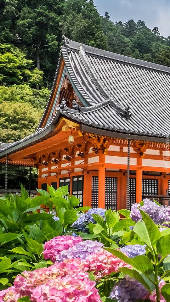 Katsuō-jischdhistischer Tempel in der Stadt Minō Puzzlespiel online