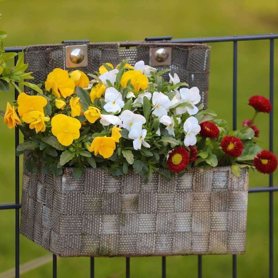 Pansies in a hanging basket jigsaw puzzle online