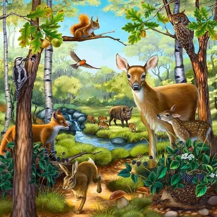 Animale în pădure jigsaw puzzle online