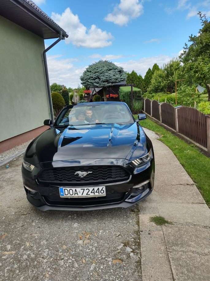 Błack Mustang. jigsaw puzzle online