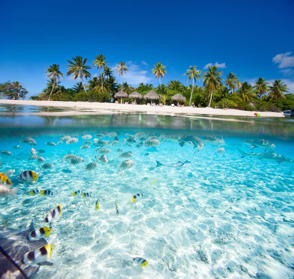 Красивый тропический остров во Французской Полинезии под водой и над водой онлайн-пазл