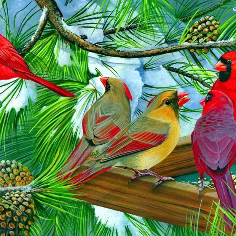 Kardinale vogels online puzzel