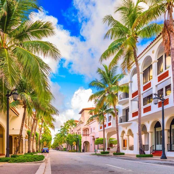 Street in Florida. puzzle online