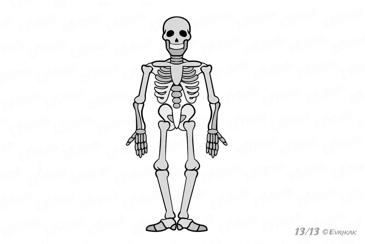 скелет 2 р пазл онлайн