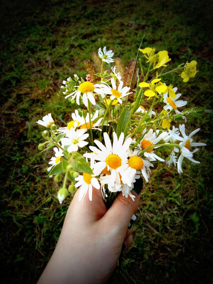Μικρό μπουκέτο / μικρό μπουκέτο λουλουδιών παζλ online