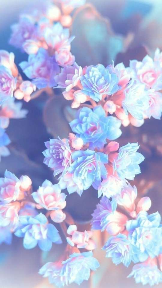 Kék és rózsa virágok? online puzzle