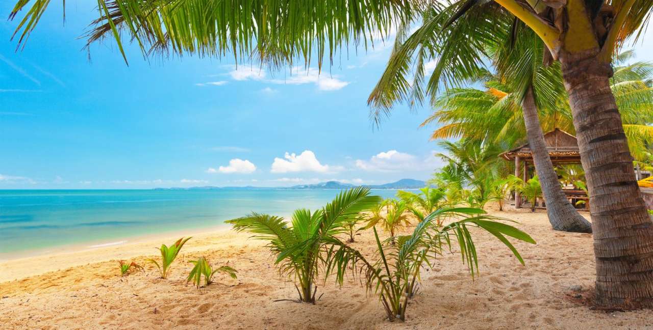 Spiaggia dei tropici puzzle online
