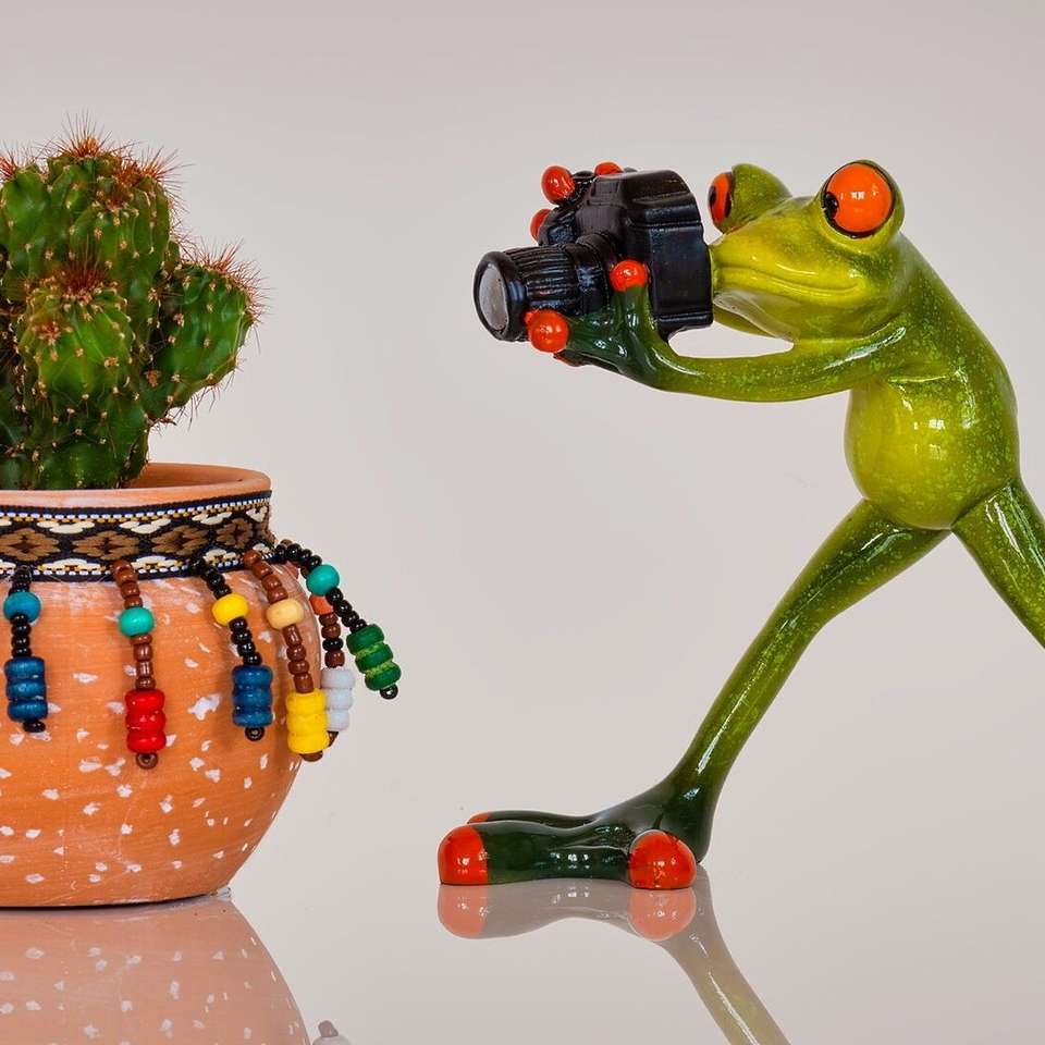 Figurine of frogs with a camera online puzzle