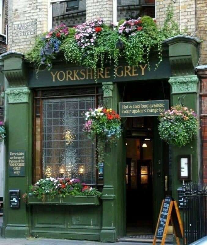 Yorkshire Gray, London, England pussel på nätet