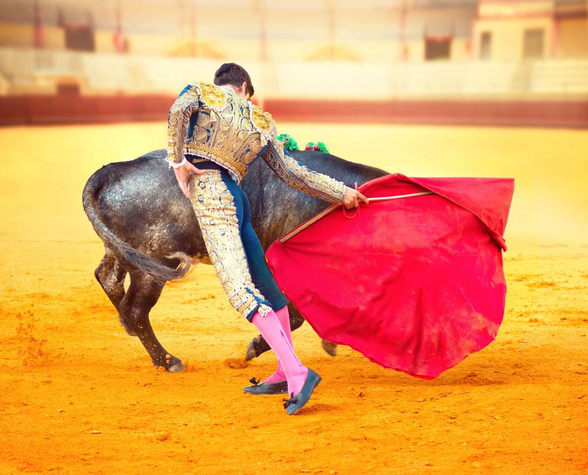 Corrida Matador luchando en una corrida típica española rompecabezas en línea