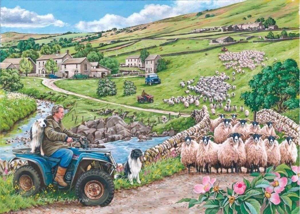 Landschaft von Irland, Priorität der Schafe! Online-Puzzle