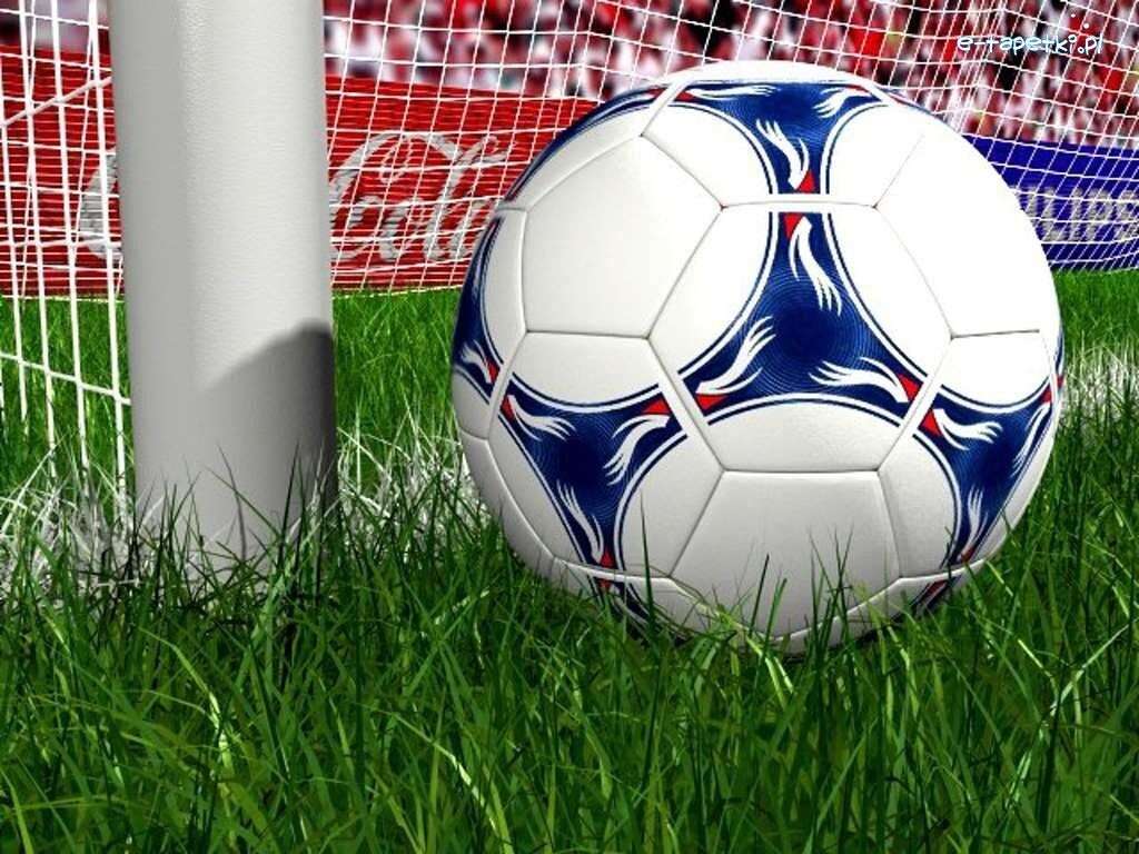 芝生の上のサッカーボール オンラインパズル
