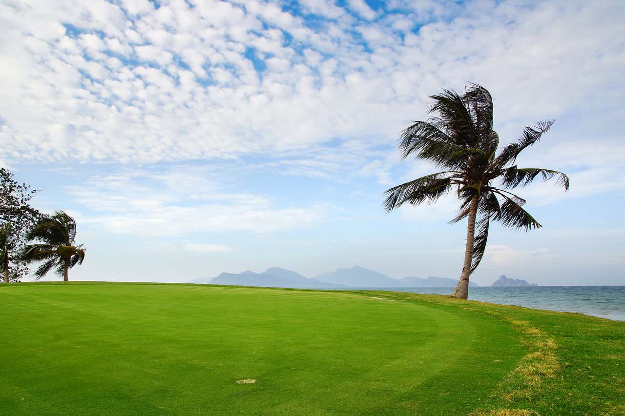 Golfbaan en palmbomen online puzzel