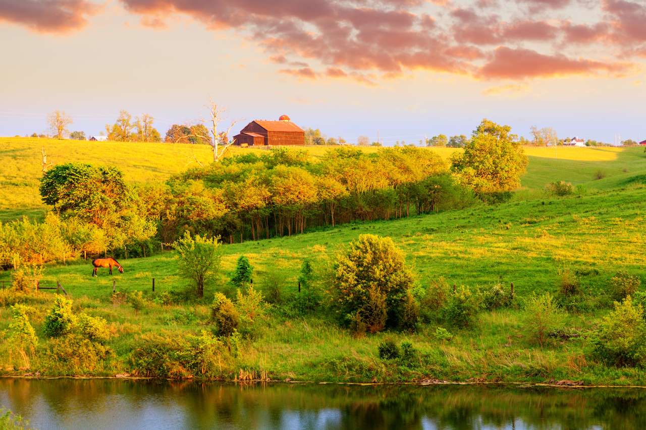 Bauernhoflandschaft im Zentrum von Kentucky Online-Puzzle