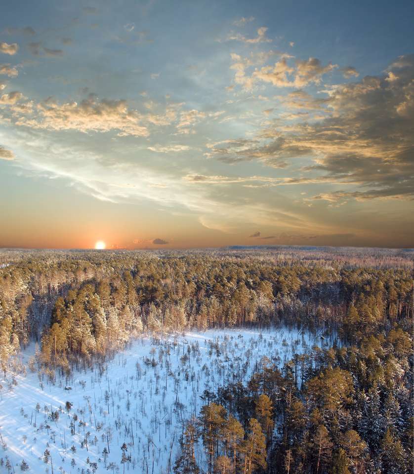 sunset in wild forest jigsaw puzzle online