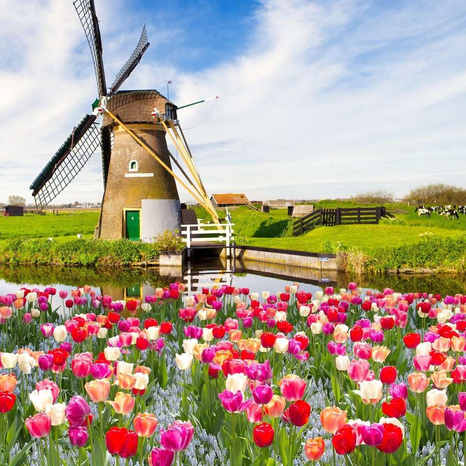 Spring windmill in Spain jigsaw puzzle online