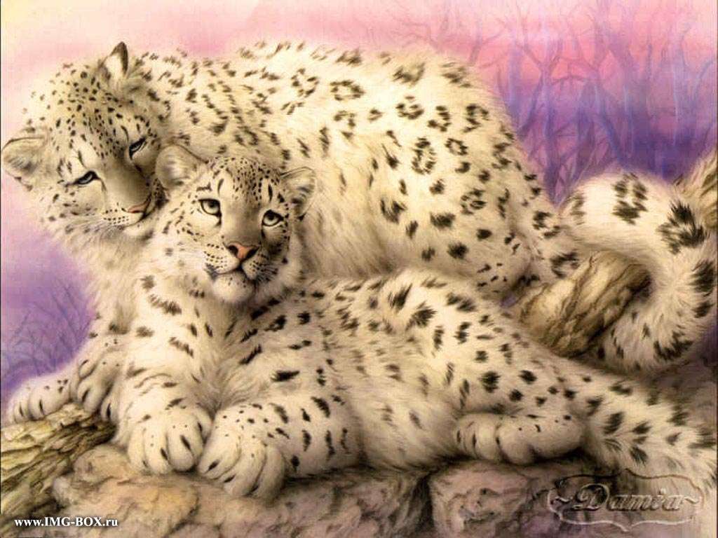Leopardos de nieve. rompecabezas en línea