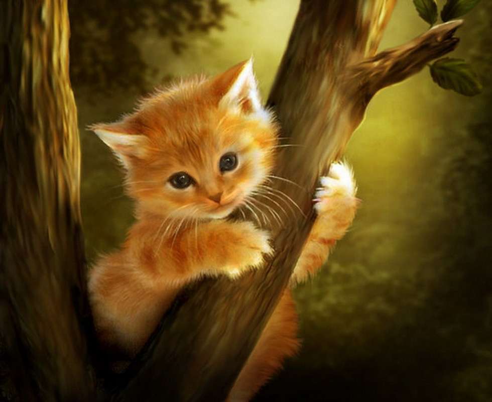 Gato na árvore. puzzle online